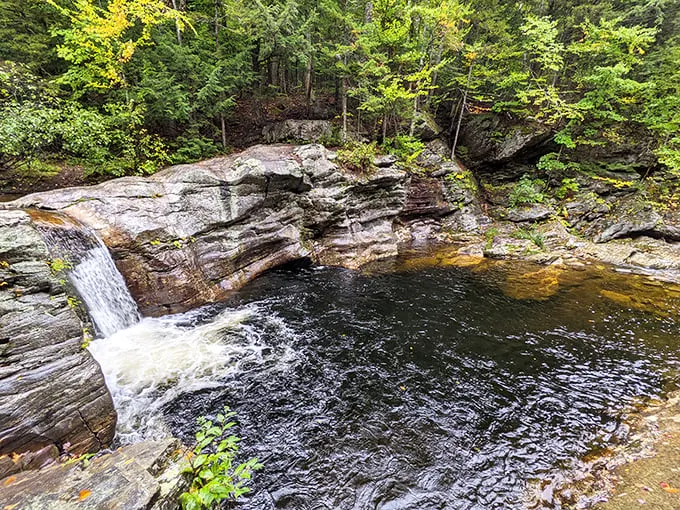Swimming hole near the house